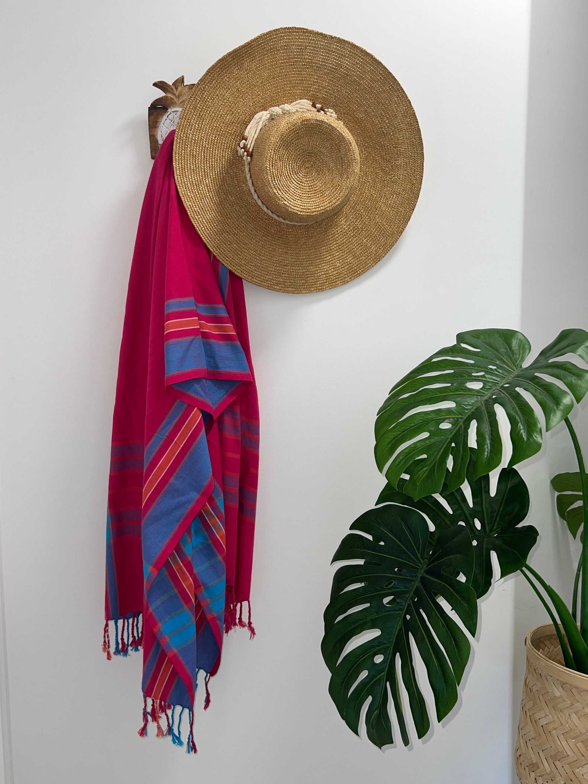 Red and turquoise throw rug and straw hat on a hook with a plant in the corner.